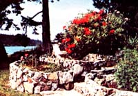 The Nahanee's grow vegetables and fruit.